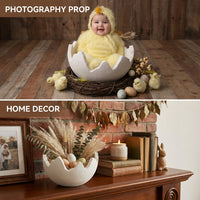 Newborn Eggshell Cradle Easter Themed Broken Eggshell Prop Cute Design Newborn Photography Cradle for Newborns, Photographers, Infant Showers, Home