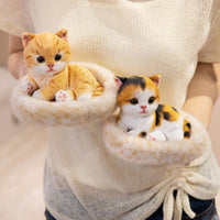 Cute Tabby Cat Plush Toy with Bed, Simulated Kitten Stuffed Animal, Home Decor, Gift
