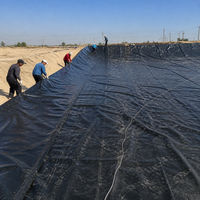HDPE Geomembrane Roll, 2m×100m, Black, 160g/㎡, Waterproof Sheet, Reservoir Lining, Fish Pond, Waterproof Sheet