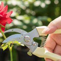 3 Pieces Flower & Spine Remover Ergonomic Firmgrasp Remover Non-Slip Handle Bloom & Stalk Remove for Floristry