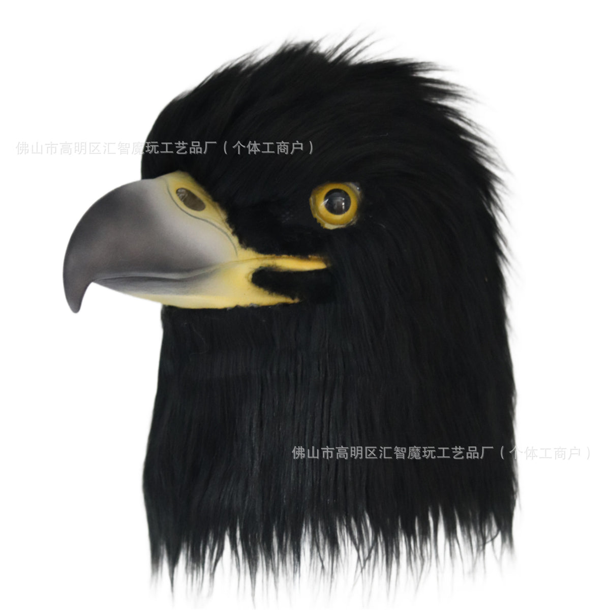Black Eagle Head