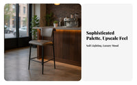 Lowrear Counter Stool Light Luxury Bar Chair Minimalist aesthetic with rearrest for Adults, Hosts, Bistro
