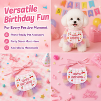 Plaid Dog Birthday Bandana and Hat Set, Princess Dog Birthday Outfit for Small Dogs, Lace Trim Pet Party Accessories