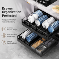 Black Pull Out Dish Rack, Extendable Dish Drainer Telescopic, Anti Rust Drying Rack for Cabinet, Large Capacity Drawer Dish Rack with Drainage