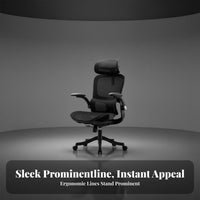 Highspine Ergonomic Chair Adjustable Support for Gaming Setup, Study Room