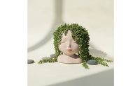 Head Planter with Drainage Hole Sculptural Bust Planter Matte for Shelf, Balcony