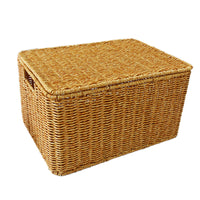 Plastic Rattan-Style Storage Box for Organizing Clothes and Accessories