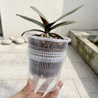 Plant Pots for House Plants and Indoor Plants, Self Watering Indoor Plant Pot with Drainage Holes, Pots for Orchids, Double Pot System Design