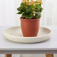 Plant Pot Saucer in a Simple Style, Thickened Plastic Flower Pot Tray, Floor Standing Home Gardening Accessories, 15cm Base Diameter