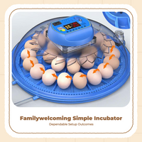 Egg incubator with auto turner