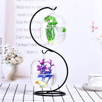 Creative Transparent Glass Fish Tank with Iron Stand for Desktop