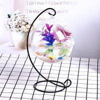 Creative Transparent Glass Fish Tank with Iron Stand for Desktop