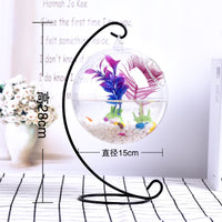 Creative Transparent Glass Fish Tank with Iron Stand for Desktop
