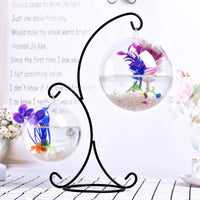 Creative Transparent Glass Fish Tank with Iron Stand for Desktop
