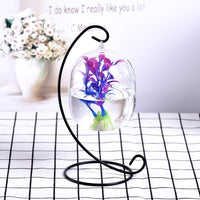 Creative Transparent Glass Fish Tank with Iron Stand for Desktop