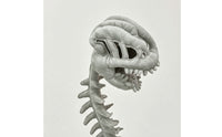 Dinosaur Skeleton Hat with Spine Soft Dinosaur Skeleton Hat Oversized Headwear for Cosplayers, Partygoers, Cosplay