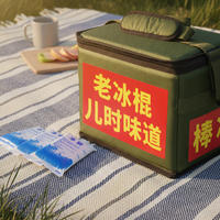 Portable Foam Ice Cream Cooler Box for Outdoor Vending and Cold Storage