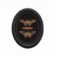 Oval Picture Frame Black Finish Wooden Oval Frame Inset Image Area