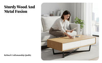 2 Pieces TV Stand and Coffee Table Set Minimalist stylistic Oval Coffee Table with Matching TV Stand Storage Compartments Living Room Furniture