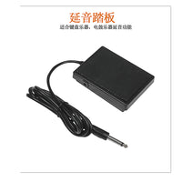 Universal Sustain Pedal for Keyboard, Electronic Piano, Synthesizer