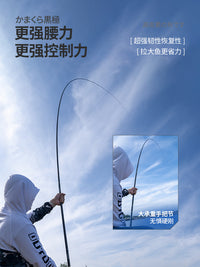 日本进口碳素达瓦菱然黑极轻量大物鱼竿超轻硬19调青草鲤鲢鳙手杆