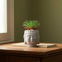 Cement Pot with Raised Pattern Carved Cement Planter Stone-Look for Desk, Office