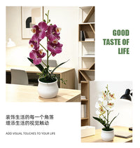 大酒缸5朵蝴蝶兰盆景婚纱摄影拍照布景假花盆栽桌面仿真绿植摆件
