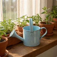 Metal Watering Can Glossy Yard Item Perforated