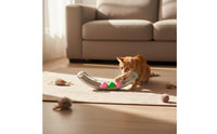 Boredom Relief Cat Track Ball Toy Easy Assembly Pet Supplies Quiet Rolling for Kittens