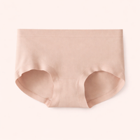 Underwear Women with High Elastic Seamless Design for Everyday Wear, Ladies Knickers in Soft Material for All Season Use, Breathable Pants for