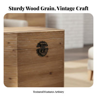 Vintage Look Trunk Distressed Finish Storage Chest Multi-Functional Furniture Long-Lasting Construction for Homeowners