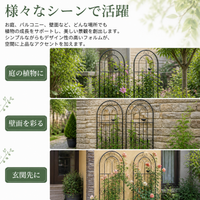 Garden Trellis, For Roses, Training, For Climbing Roses, Iron Fence, 50cm x 120cm, Metal Trellis