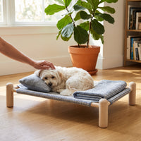 Elevated Pet Cot for Small to Medium Dogs - Breathable, Washable, All-Season Indoor/Outdoor Dog Bed