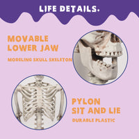 2 Meter Halloween Skeleton Decoration Prop
