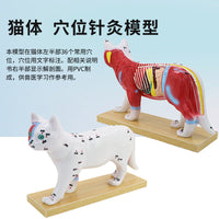 狗体针灸模型 猫体解剖模型 高还原度中医动物针灸犬常用穴位教具