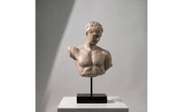 Bust on Stand Tall Classical Bust Statue Ancient for Living Room, Shelf Display