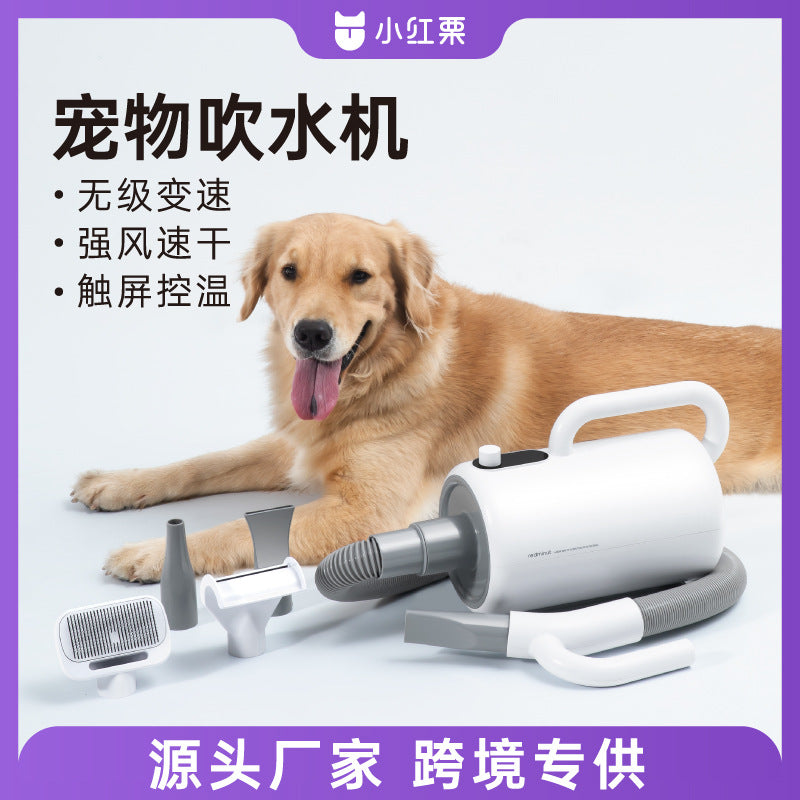 Pet Hair Dryer for Dogs and Cats, High Power, 220V, UK Plug