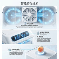 全自动孵化机6枚USB家用孵蛋器科教启蒙鸡鸭鸽子鹌鹑小型孵化器