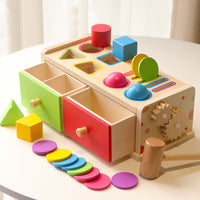 Montessori Educational Toy Color Sorting Coin Box with Shape Matching for Toddlers