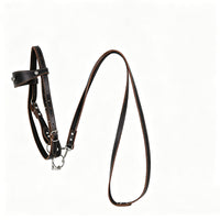 Flying Eagle Style Bridle with Reins Cowhide Bit Horse Tack Adjustable Pony Halter Bridle Cross-Border