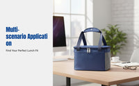 Insulated Lunch Bag, Waterproof Bento Tote, Handheld for Office, Students