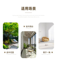 鹦鹉不锈钢站架玄凤和尚大型鸟架训练互动落地架大号鹦鹉架