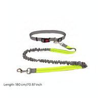 Elastic Leash and Collar Combo Flexible Adjustable Collar Leash Set Metal D-Loop Pet Gear Snap Hook for Walking, Control