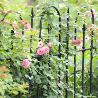 Climbing Plant Trellis Rustic Design Ornamental Yard Fence Powder Coated