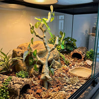 Jumping Arachnid Enclosure Accessories, Flexible Positioning Arboreal Branches for Decoration, 45cm Reptile Habitat Plant