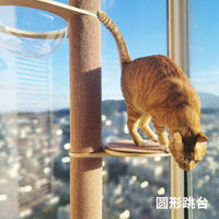 JoyCat通天柱猫爬架吸盘猫窝猫树猫抓柱猫用品小型大型实木多层板