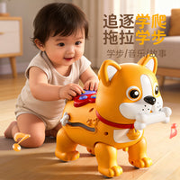 Electric Pull-along Dog Toy with Music and Talking for Kids