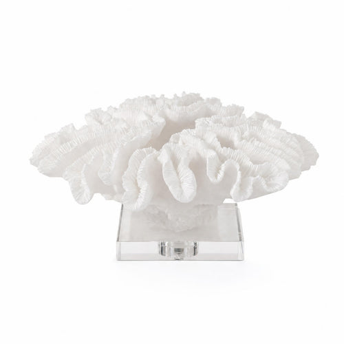 Coral Sculpture with Acrylic Base Textured Coral Ornament Modern for Office