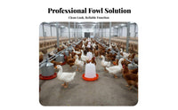 Automatic Fowl Waterer Easy to Hygienic Chick Feeder and Waterer Set Material Automatic Fowl Feeder