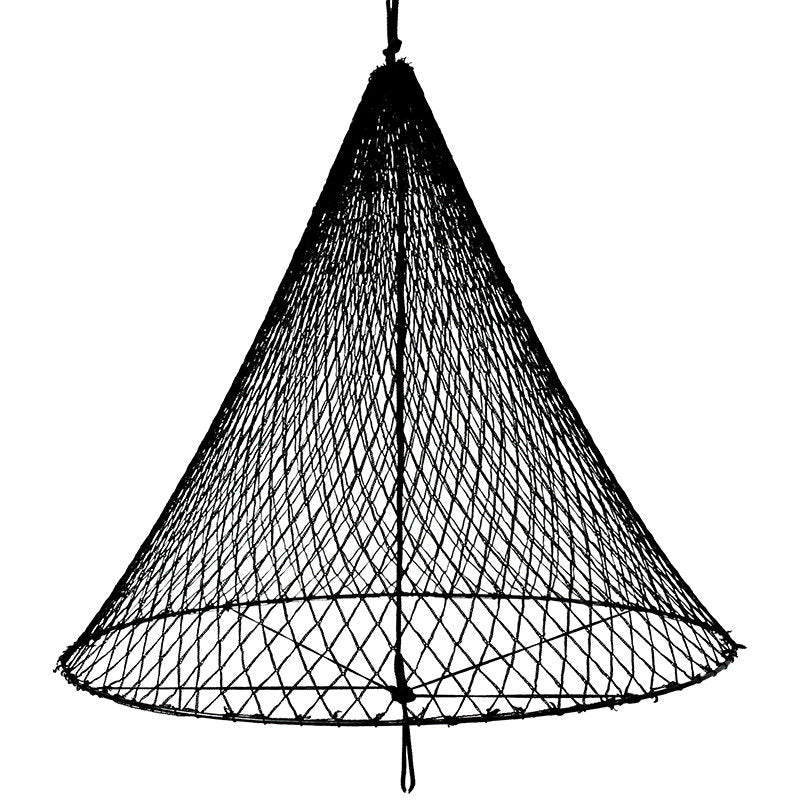 Single Cone
